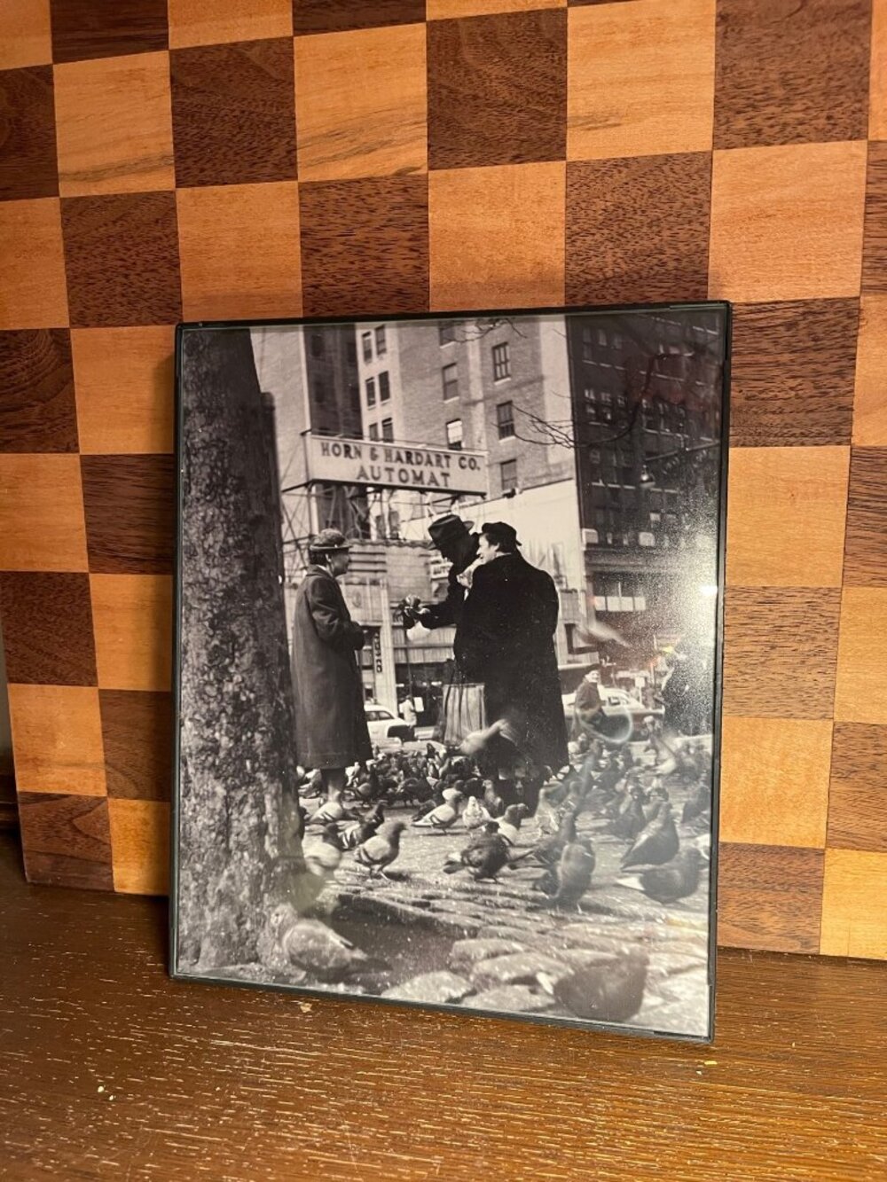 People Feeding Pidgeons in New York City Automat Picture A746
